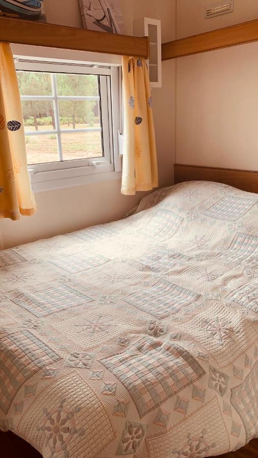Petite Maison Dans La Prairie Cabanac-et-Villagrains Luaran gambar